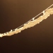 bridge-detail3