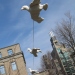 bird-detail3