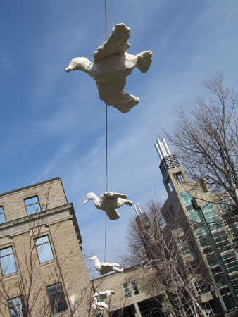 bird-detail3