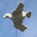 bird-detail5