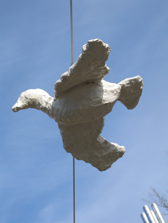 bird-detail5