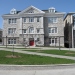birds flying to archives2