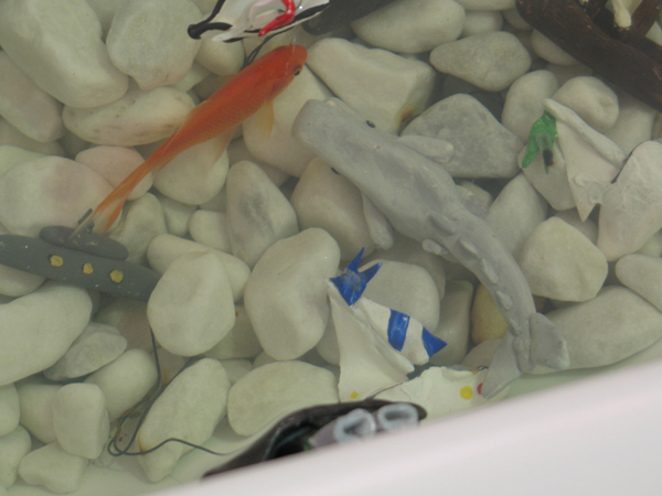 fish1 fish1