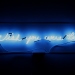 sam-neon1-rt-web