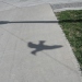 shadow